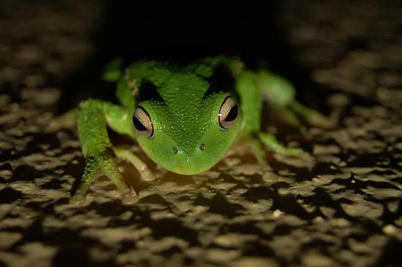 1529454261Dia9 copiar