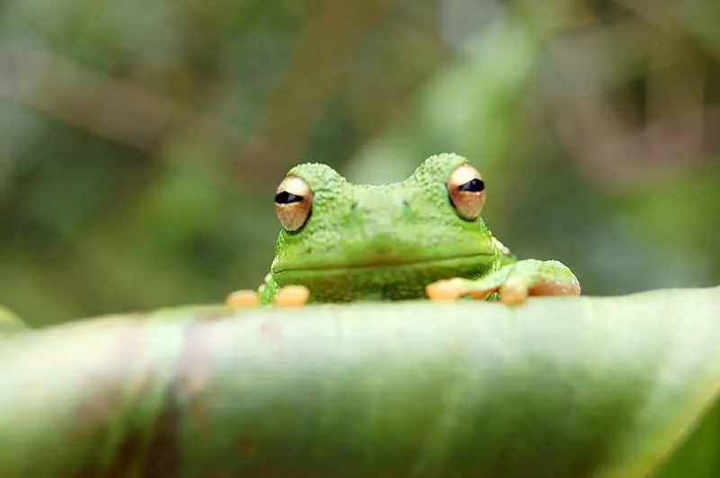 1536871417Dia5 copiar