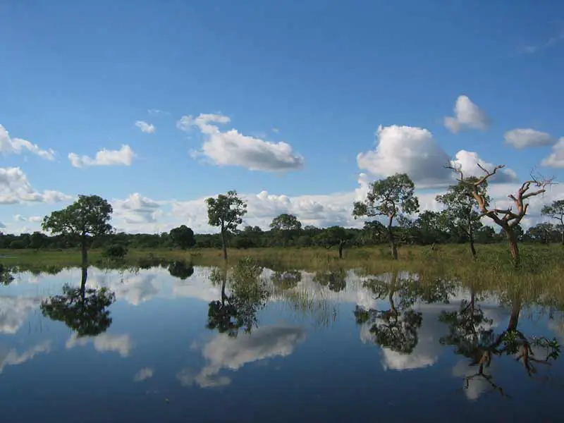 15694483051538502984Dia4 copiar