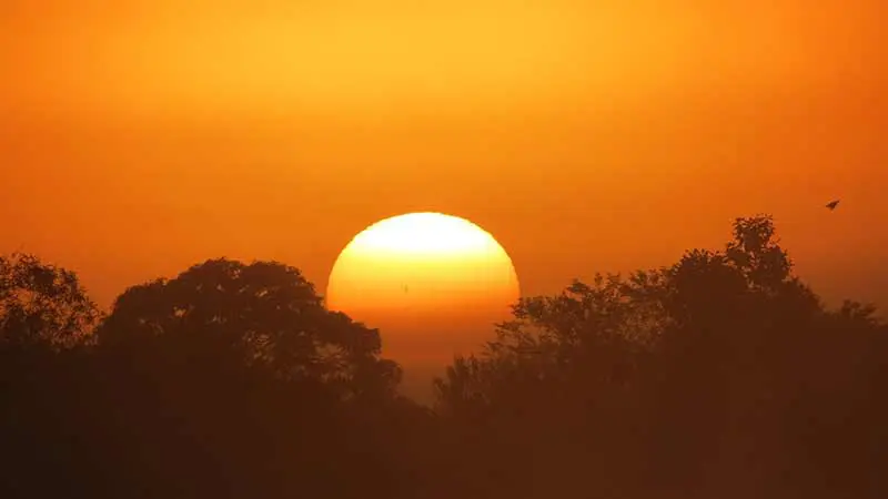 15694483251538503077Dia8 copiar