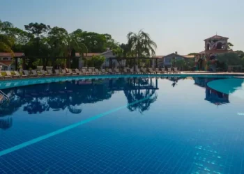 1637673818wishfoz copiar